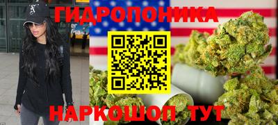 дживик Лесосибирск