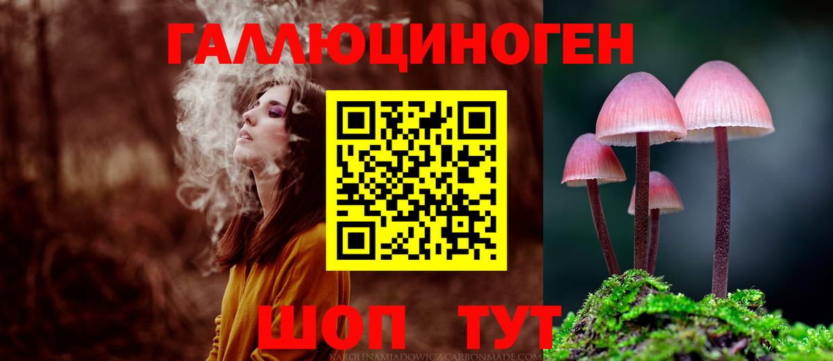 Химки  дарнет шоп  Вход с VPN  Галлюциногенные грибы GOLDEN TEACHER 